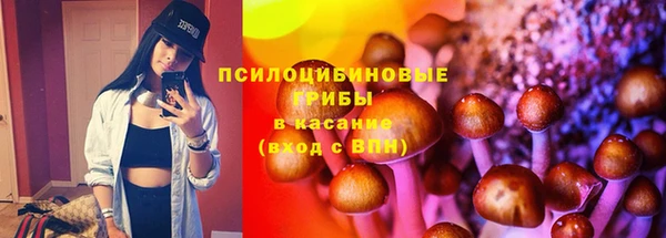 PSILOCYBIN Володарск