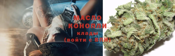молекула духа Семилуки
