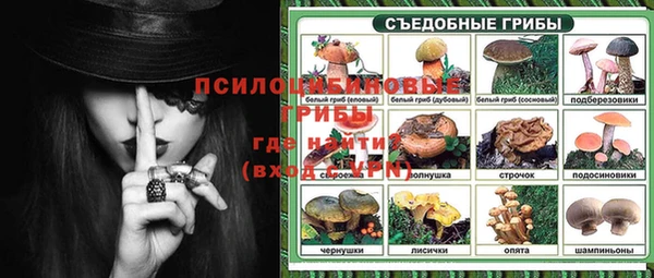 мдпв Волосово