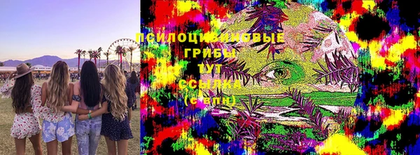 мдпв Волосово