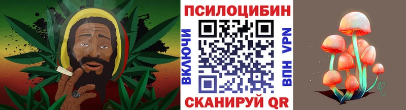 Галлюциногенные грибы Cubensis  кракен сайт  Всеволожск  наркота 